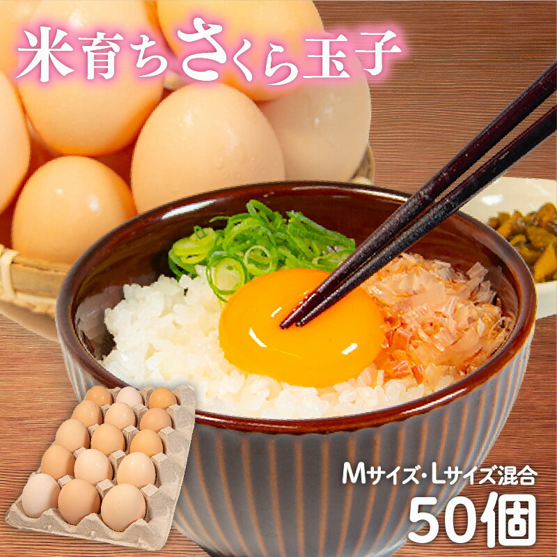 卵 50個 ( たまご 45個 + 割れ補償 5個 ) Mサイズ Lサイズ 混合 国産 鶏 米育ち さくら 玉子 コクのある 濃い 風味 とれたて 生たまご 滋賀 地産地消 飼料米 玉子 国産 新鮮 さくら玉子 卵かけご飯 大容量 生 卵 鶏 天然 すき焼き 目玉 焼き 滋賀県 竜王町