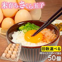 【ふるさと納税】 定期便 選べる 回数 卵 50個 ( たまご 45個 + 割れ補償 5個 ) 2回 3回 6回 12回 Mサイズ Lサイズ 混合 定期便 国産...
