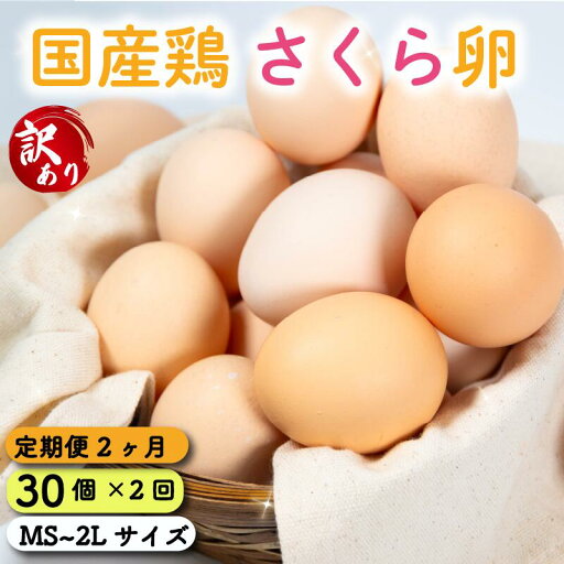 【ふるさと納税】 定期便 訳あり 卵 30個 ( たまご 25個 + 割れ補償 5個 ) 2回 2ヶ月 定期便 国産 鶏 さくら 簡易包装 コクのある 濃い 風味 とれたて 生たまご 滋賀 地産地消 の 飼料米 玉子 国産 新鮮 卵かけご飯 大容量 生 卵 鶏 天然 すき焼き 目玉 焼き 滋賀県 竜王町 【ふるさと納税】 定期便 訳あり 卵 30個 ( たまご 25個 + 割れ補償 5個 ) 2回 2ヶ月 定期便 国産 鶏 さくら 簡易包装 コクのある 濃い 風味 とれたて 生たまご 滋賀 地産地消 の 飼料米 玉子 国産 新鮮 卵かけご飯 大容量 生 卵 鶏 天然 すき焼き 目玉 焼き 滋賀県 竜王町