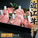 【ふるさと納税】 近江牛 焼肉 特上 盛り合わせ 480g 冷凍 シャトーブリアン (発送時期が選べる サーロイン フィレ ヘレ 希少部位 ミスジ イチボ 赤身...