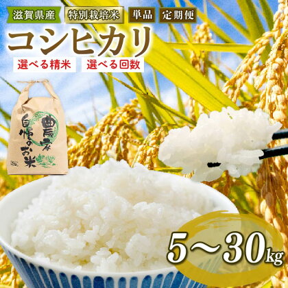 令和5年 米 5kg 10kg 25kg 30kg 定期便 3ヶ月 6ヶ月 12ヶ月 こしひかり 白米 5分つき 玄米 特別栽培米 コシヒカリ 2023年産 国産 農家直送 環境こだわり お試し用 小分け お米 こめ おこめ 農家直送 産地直送 滋賀県 竜王町 送料無料 1袋 2袋 3袋