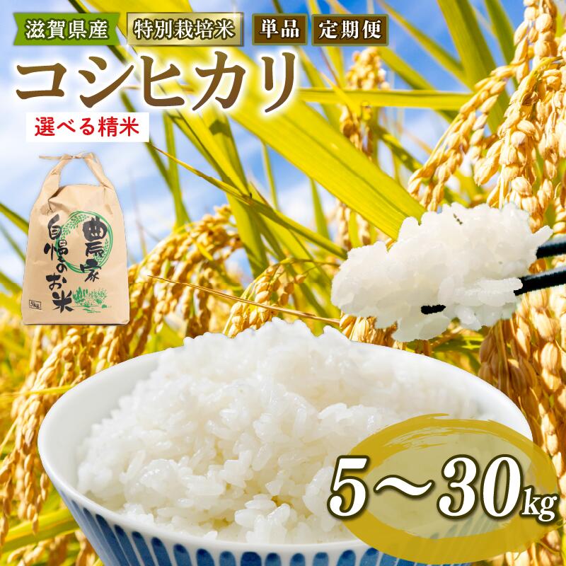 令和5年 米 5kg 10kg 20kg 25kg 30kg 定期便 3ヶ月 6ヶ月 12ヶ月 こしひかり 白米 5分つき 玄米 特別栽培米 コシヒカリ 2023年産 国産 農家直送 環境こだわり お試し用 小分け お米 こめ おこめ 農家直送 産地直送 滋賀県 竜王町 送料無料 1袋 2袋 3袋