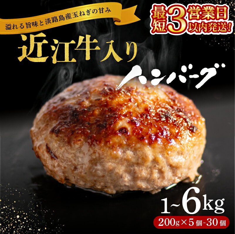 【ふるさと納税】 ＼総合1位獲得／ 近江牛 入り ハンバーグ...