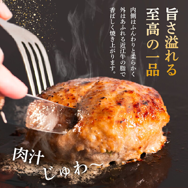 【ふるさと納税】 近江牛 100％ ハンバーグ 200g/ 5個 10個 15個 計 1kg 2kg 3kg 淡路島の玉ねぎ入り 冷凍 真空 小分け 個包装 肉汁 たっぷり 大容量 大きめ ハンバーグ 牛肉 ビーフ 日本三大和牛 お弁当 おかず 惣菜 贅沢 神戸牛 松阪牛 に並ぶ日本三大和牛 滋賀県 竜王町
