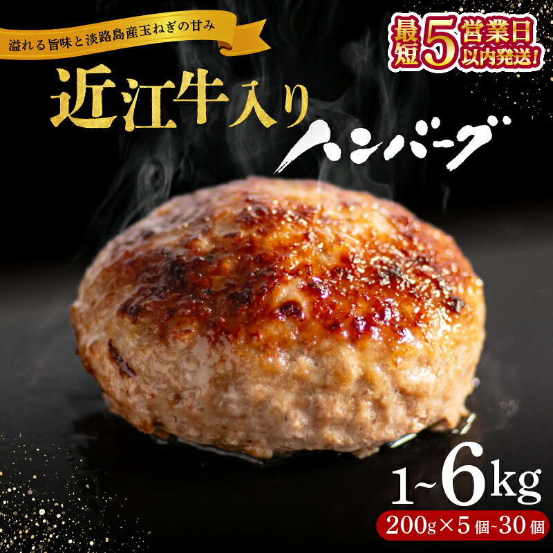 【ふるさと納税】 ＼総合1位獲得／ 近江牛 入り ハンバーグ 6kg 3kg 2kg 1kg 淡路島産 玉ねぎ 近江牛 使用 合挽き 近江牛 200g/30個15個10個5個 選べる容量 個包装 和牛 牛肉 冷凍 黒毛和牛 豚肉 ポーク ランキング 日本三大和牛 滋賀県 竜王町