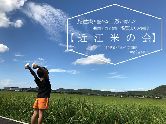 【ふるさと納税】 【令和5年産 4銘柄お米の食べ比べ便【近江