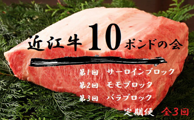 【近江牛 定期便【近江牛10ポンドの会】全3回】 肉 牛肉 ブランド牛 三大和牛 和牛 黒毛和牛 贈り物 ギフト プレゼント 冷凍 滋賀県 竜王