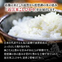 【ふるさと納税】 令和5年産 こしひかり きぬひかり 食べ比べ 6kg 近江米 3