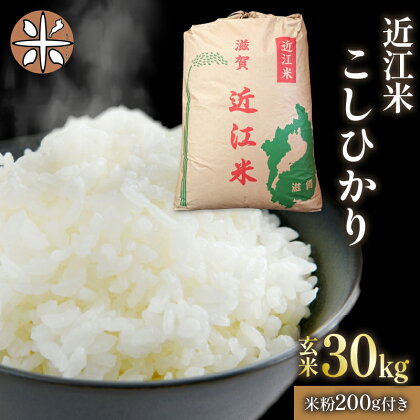 令和5年産 コシヒカリ 玄米 30kg 近江米 米粉 200g付