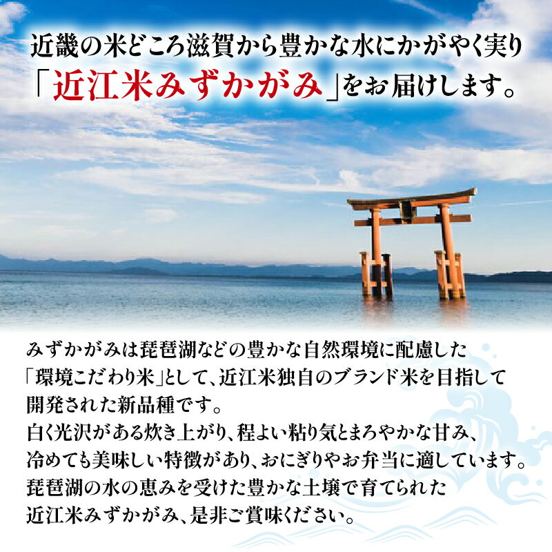 【ふるさと納税】 令和5年産 みずかがみ 玄米 30kg 近江米 米粉 200g付