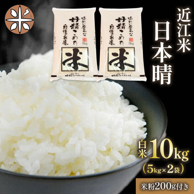 令和5年産 日本晴 白米 10kg 近江米 米粉 200g付 農家直送 滋賀県産 滋賀県 竜王 送料無料