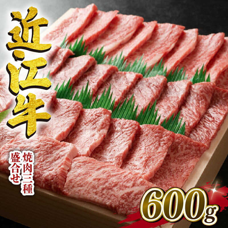 yӂ邳Ɣ[Łz ߍ]  ē O 荇킹 600g ~ Ԑg Y uh {Oa a јa 蕨 Mtg Ⓚ ꌧ  Vq