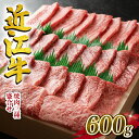 近江牛 【ふるさと納税】 近江牛 牛肉 焼肉 三種 盛り合わせ 600g 霜降り 赤身 国産 ブランド牛 日本三大和牛 和牛 黒毛和牛 贈り物 ギフト 冷凍 滋賀県 竜王町 澤井牧場