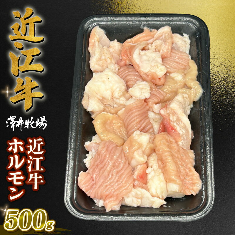 【ふるさと納税】 近江牛 澤井姫和牛 近江牛ホルモン 250g × 2 黒毛和牛 牛肉 肉 ギフト 焼肉 焼き肉 ..