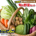 11位! 口コミ数「0件」評価「0」 定期便 6回 野菜 セット 12品 ~ 15品 野菜ソムリエ 厳選 野菜 定期便 6ヶ月 旬 新鮮 やさい たっぷり 道の駅 竜王かがみの･･･ 