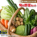 13位! 口コミ数「0件」評価「0」 野菜 旬野菜 新鮮 やさい 詰め合わせ 竜王産 滋賀県 竜王町 産地直送 送料無料