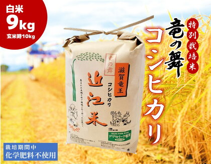 こしひかり 白米 9kg (4.5kg×2袋)（玄米時 10kg ） 2023年産 竜の舞 化学肥料不使用 特別栽培米 近江米 農家直送 滋賀県 竜王町 送料無料