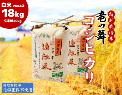 米 こしひかり 白米18kg ( 9kg × 2袋 )（玄米時 20kg ） 2023年産 竜の舞 化学肥料不使用 特別栽培米 国産 近江米 農家直送 産地直送 滋賀県 竜王町 送料無料