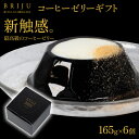 2位! 口コミ数「4件」評価「4.5」 コーヒーゼリー 6個 高級 珈琲 お菓子 ゼリー ギフト シュガー フレッシュ 付き キリマンジャロ 贈り物 スーパーセール BRIJU ･･･ 