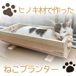 【ふるさと納税】 ねこ 桧 プランター 木製プランター 猫 プランター 小物入れ セット 寄せ植え 室内 屋内 室内用 猫のベッド 木製 プランター ペットベッド 猫ベッド 鉢カバー 木 長方形 ひのき おしゃれ かわいい ガーデニング ガーデニング雑貨 園芸 滋賀県 竜王町