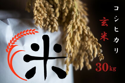 【令和5年産 特別栽培 近江米 『コシヒカリ』玄米30kg】 米 近江米 こしひかり 滋賀県 竜王