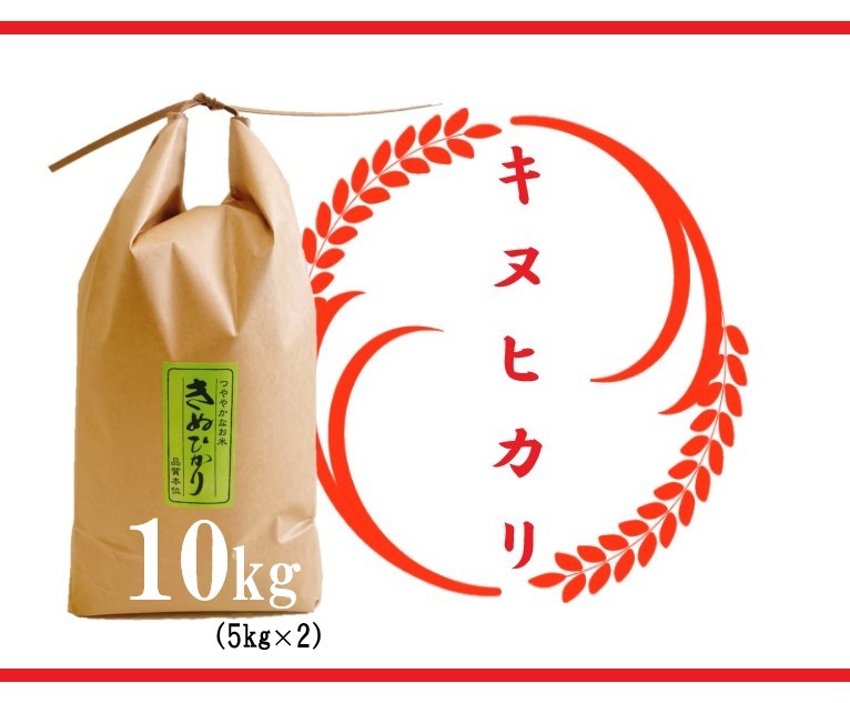 [令和5年産 特別栽培 近江米 『キヌヒカリ』10kg(5kg×2)] 米 近江米 キヌヒカリ ブランド米 滋賀県 竜王