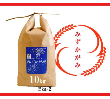 【令和5年産 特別栽培 近江米『みずかがみ』10kg(5kg×2)】 米 近江米 みずかがみ ブランド米 滋賀県 竜王