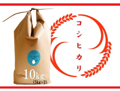 【令和5年産 特別栽培 近江米 『コシヒカリ』10kg(5kg×2)】 米 近江米 こしひかり 滋賀県 竜王