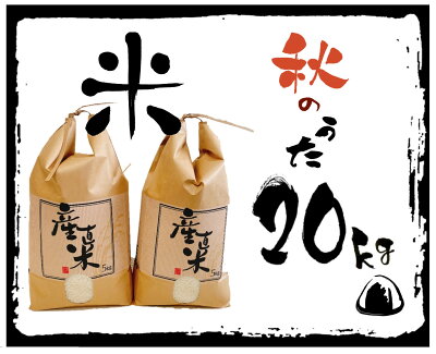 楽天ふるさと納税　【ふるさと納税】 【令和5年産 特別栽培 近江米『秋の詩』20kg(5kg×4)】 米 近江米 秋の詩 ブランド米 滋賀県 竜王