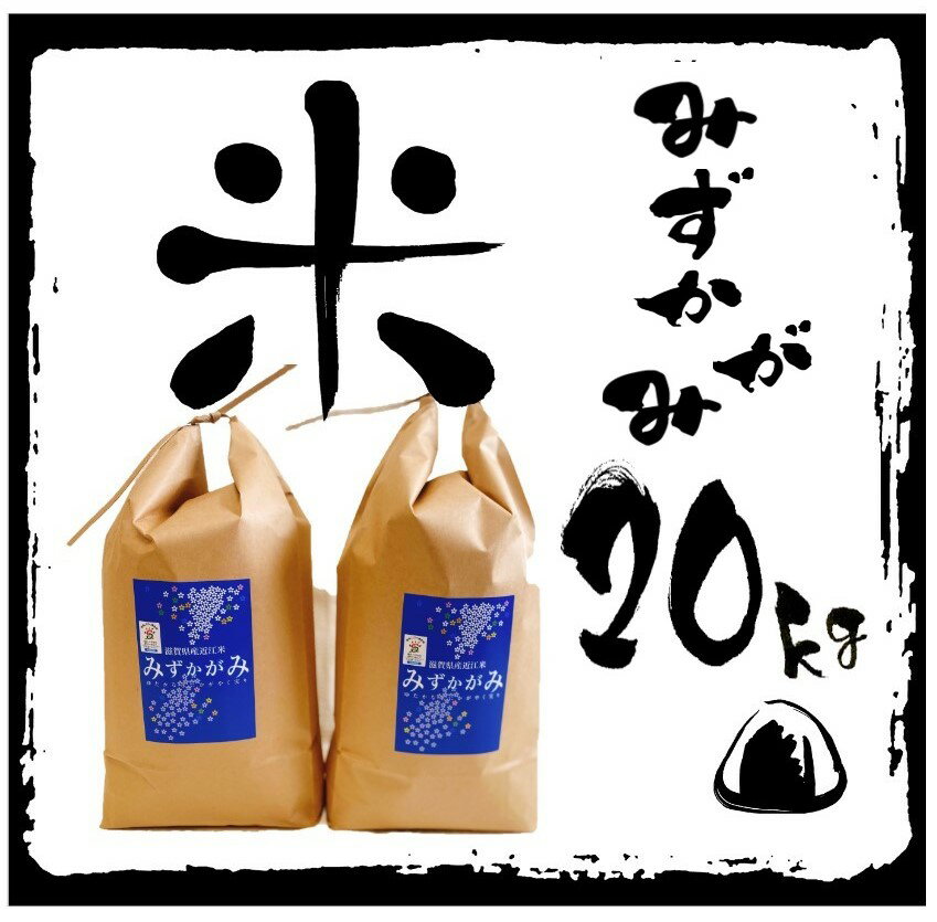 21位! 口コミ数「0件」評価「0」 【令和5年産 特別栽培 近江米 『みずかがみ』20kg(5kg×4)】 米 近江米 みずかがみ ブランド米 滋賀県 竜王