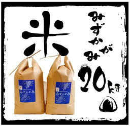 【ふるさと納税】 【令和5年産 特別栽培 近江米 『みずかがみ』20kg(5kg×4)】 米 近江米 みずかがみ ブランド米 滋賀県 竜王