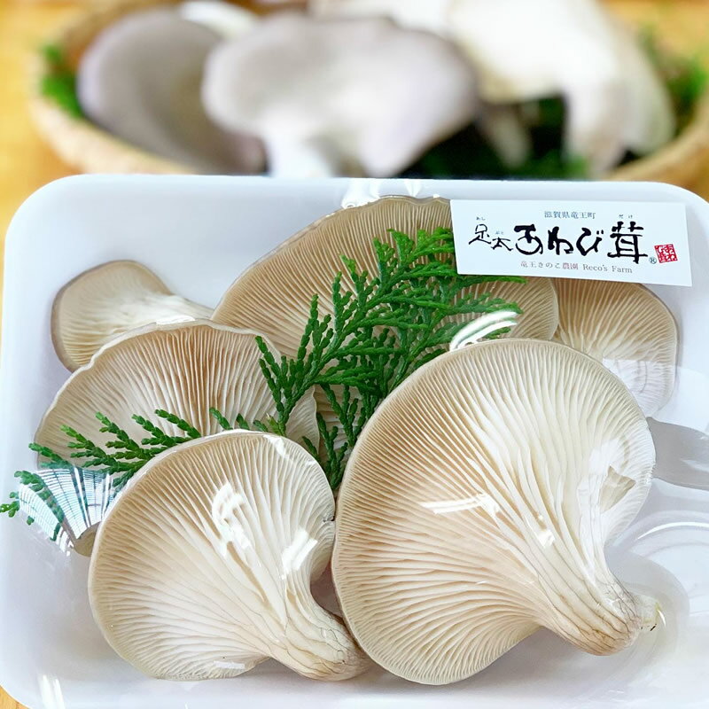 【ふるさと納税】 あわび茸 生 250g 希少 きのこ 足太 あわび 茸 キノコ 国産 野菜 食材 健康 滋賀県 竜王町 贈り物 ギフト 産地直送 5000円以下 あわびたけ あわびだけ