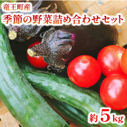 季節の野菜詰め合わせセット 約5kg ( 常温 季節 旬 春野菜 夏野菜 秋野菜 トマト 人参 きゅうり なす玉ねぎ カボチャ 獅子唐 冬瓜 産地直送 農家直送 サラダ 滋賀県 竜王 )