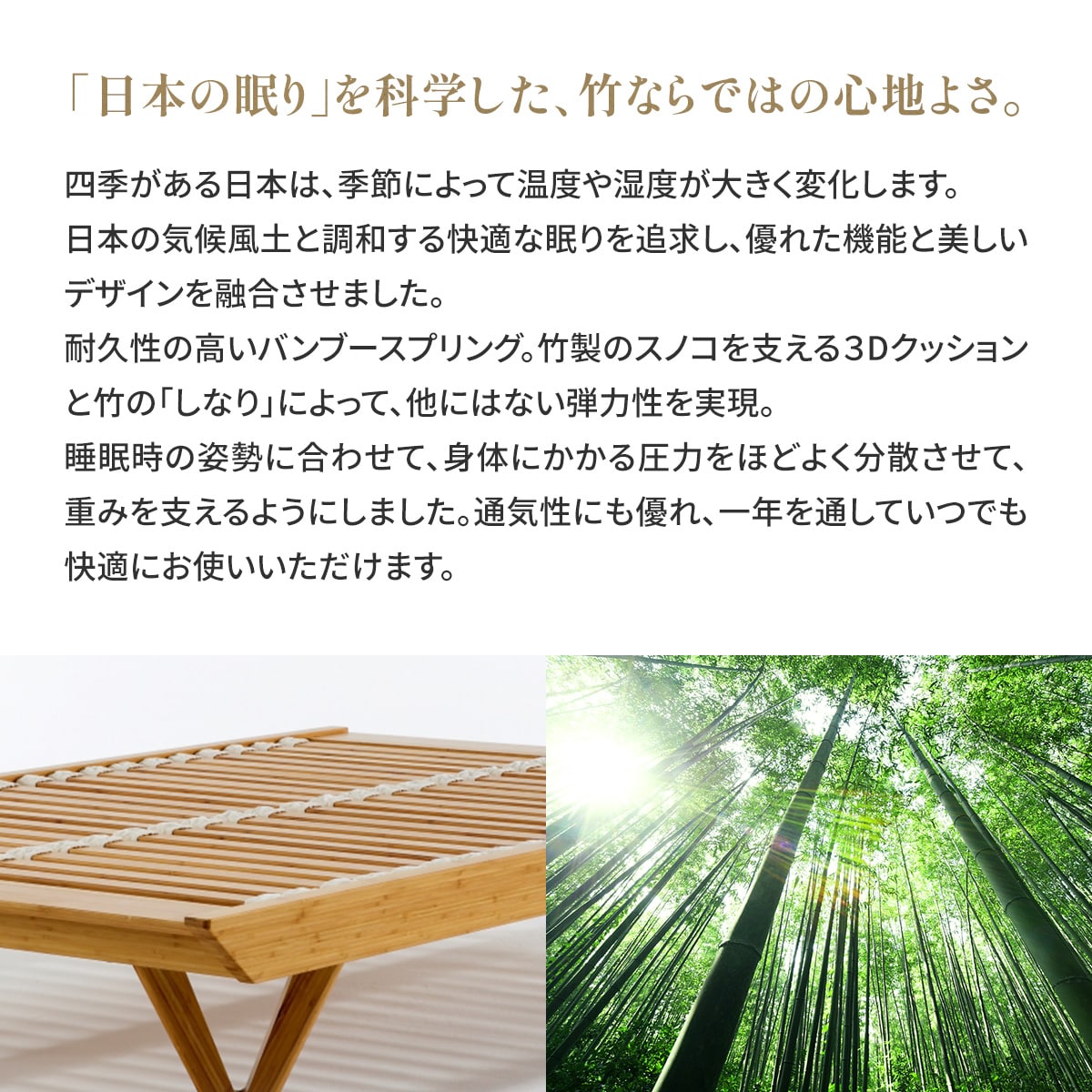 【ふるさと納税】IWATA　KAGUYA KOKOCHI（ヘッドなしタイプ）　シングルサイズベッドフレーム　AA104