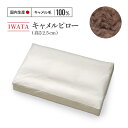 【ふるさと納税】IWATA キャメルピロ— 高さ2.5cm AA098