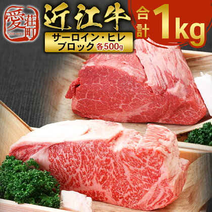 近江牛 サーロイン ブロック ＆ ヒレ ブロック 各500g　合計1kg　牛肉 和牛 黒毛和牛 国産　AI36