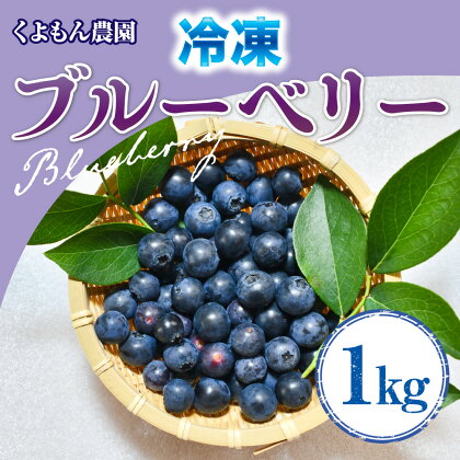 くよもん農園 冷凍ブルーベリー 1kg 【人気の返礼品】