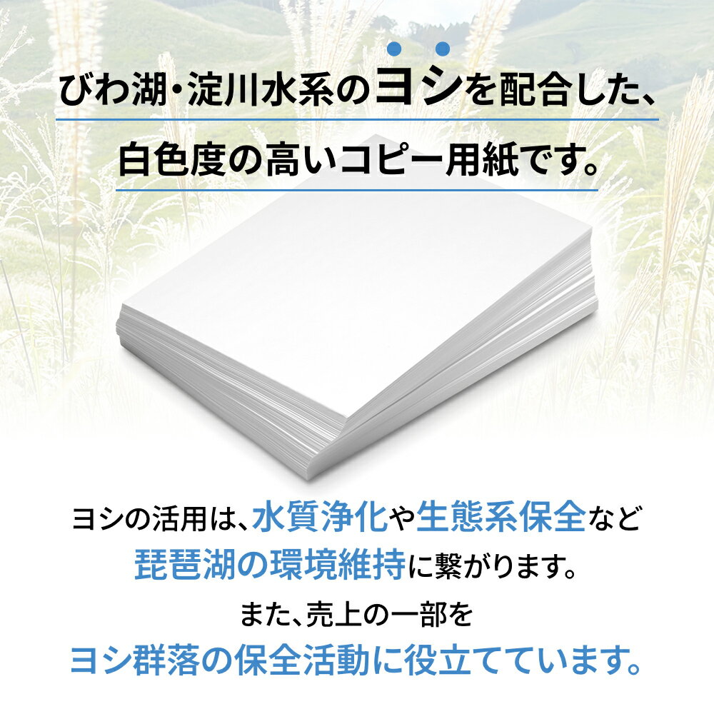 【ふるさと納税】KPS-R34 ヨシ コピー用紙ヨシB4 500枚×5冊/1箱　合計2,500枚 複合機 印刷 送料無料 BB07