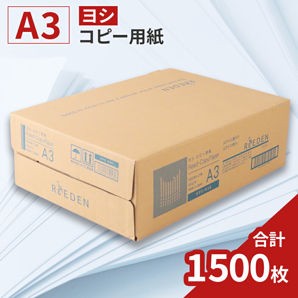 ڤդ뤵ǼǡKPS-R38 襷ԡѻ桡A3 5003/1Ȣ1,500 ʣ絡  ̵ BB09