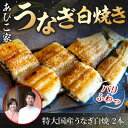 【ふるさと納税】あびこ家 パリふわっうなぎ白焼き 2本 うなぎ 鰻 白焼き 国産 特大 AD04