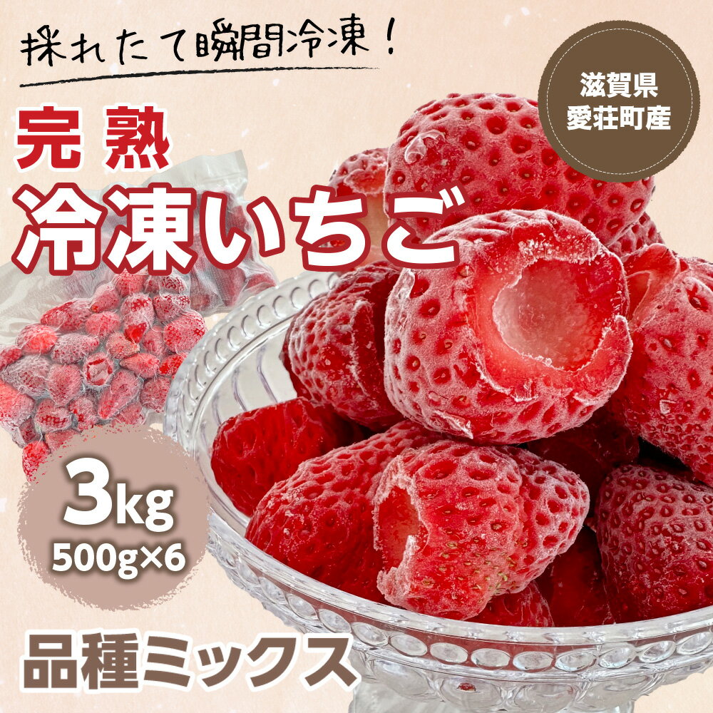 【ふるさと納税】採れたて瞬間冷凍！ 滋賀県愛荘町産　冷凍いちご 3kg 500g×6 品種ミックス　有機 有機肥料 冷凍 いちご 紅ほっぺ よつぼし みおしずく あまえくぼ　BJ06 送料無料 いちご 冷凍2025年4・5・6月より準備が整い次第順次出荷 BJ06