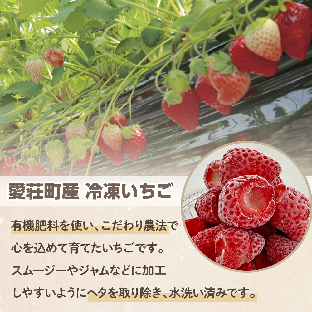 【ふるさと納税】採れたて瞬間冷凍！ 滋賀県愛荘町産　冷凍いちご 3kg 500g×6 品種ミックス　有機 有機肥料 冷凍 いちご 紅ほっぺ よつぼし みおしずく あまえくぼ　BJ06 送料無料 いちご 冷凍2025年4・5・6月より準備が整い次第順次出荷 BJ06