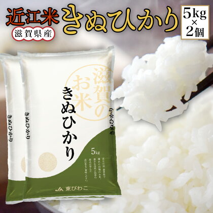 近江米 きぬひかり 白米10kg 令和5年産 送料無料 近江 米 BD02