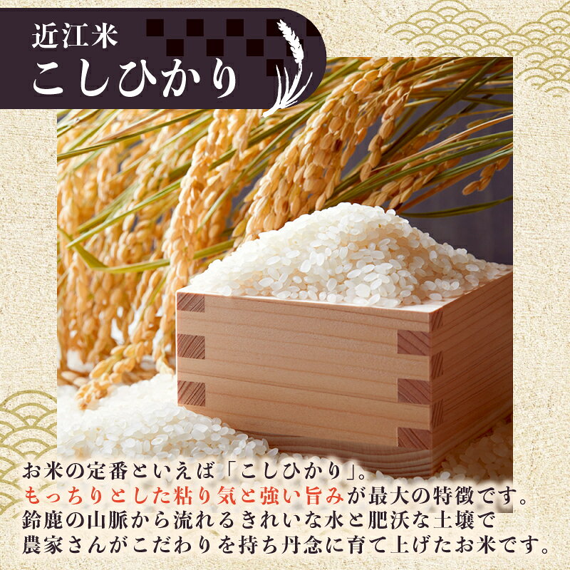 【ふるさと納税】 【先行受付】 新米 こしひかり 白米 5kg / 10kg 令和8年産 近江米 令和8年 米 お米 精米 ご飯 コシヒカリ 先行予約 f254258-aisho-10000446 滋賀県愛荘町 サンプル画像3
