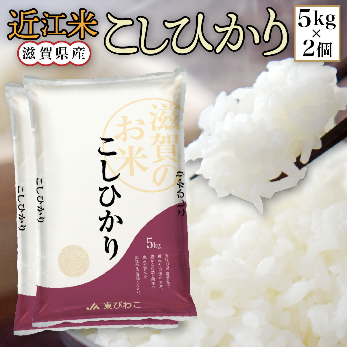 【ふるさと納税】 近江米 こしひかり 白米10kg 令和5年産 送料無料 近江 米 BD06