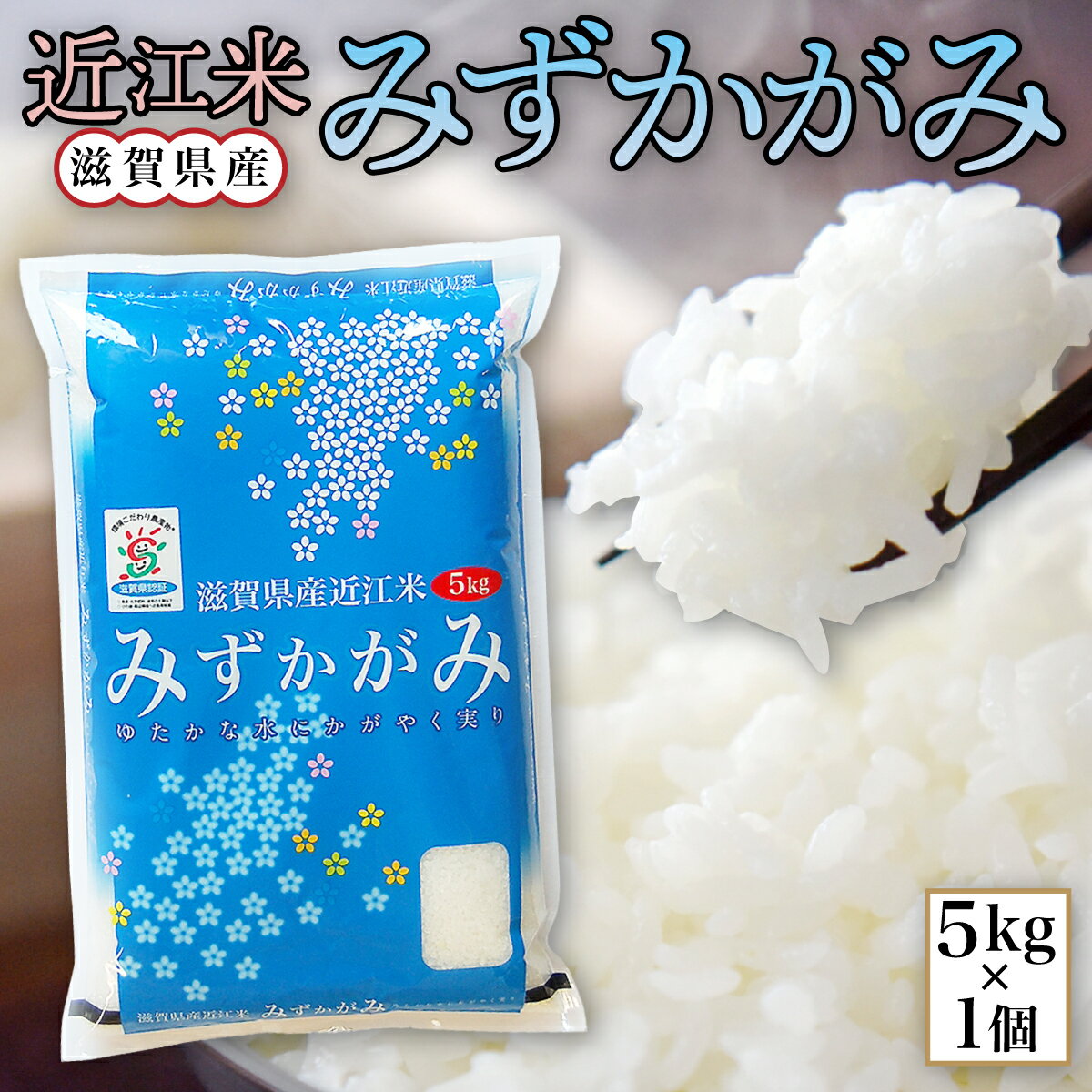 【ふるさと納税】 近江米 みずかがみ 白米5kg 令和5年産 送料無料 近江 米 BD07