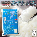 【ふるさと納税】 近江米 みずかがみ 白米5kg 令和5年産