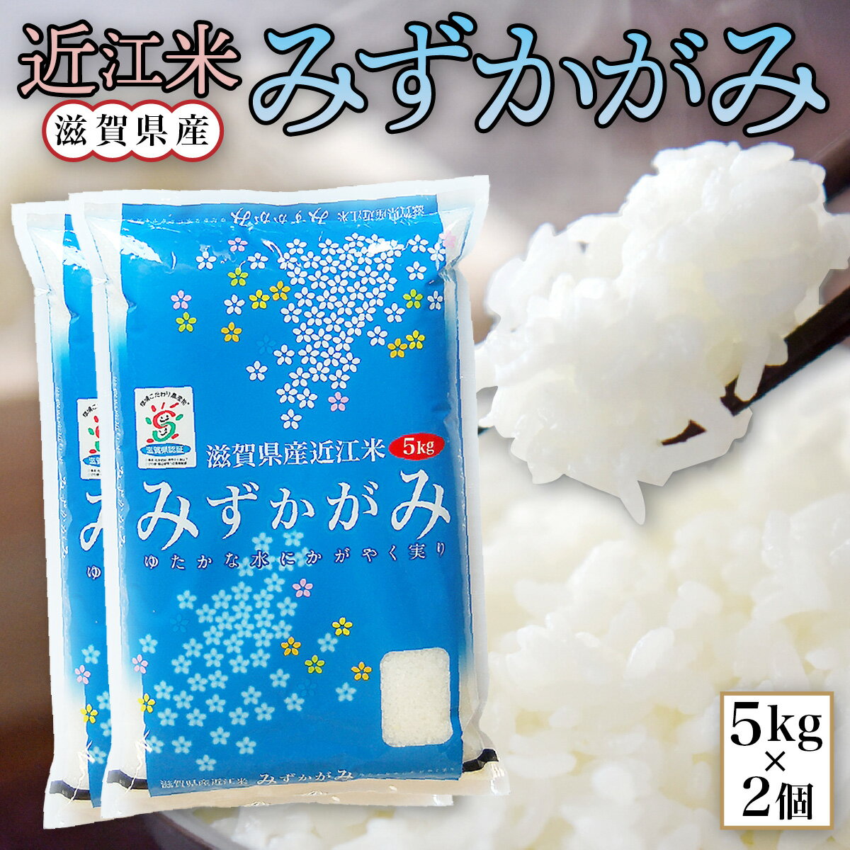 【ふるさと納税】 近江米 みずかがみ 白米10kg 令和5年産 送料無料 近江 米 BD08