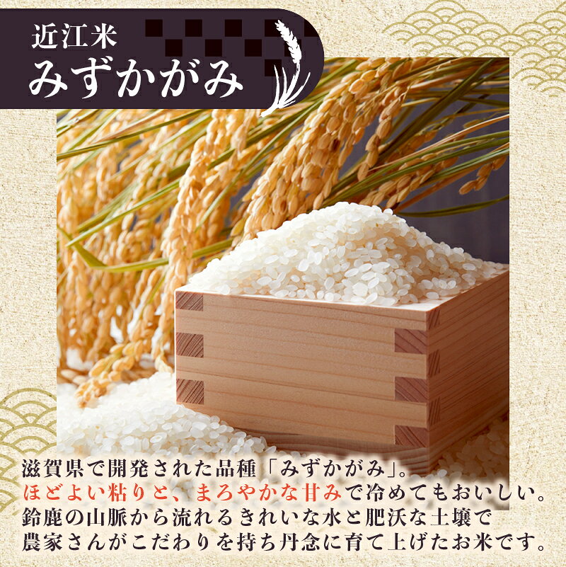 【ふるさと納税】 【先行受付】 新米 みずかがみ 白米 5kg 令和8年産 近江米 令和8年 白米 米 お米 精米 ご飯 先行予約 f254258-aisho-10000448 滋賀県愛荘町 サンプル画像3