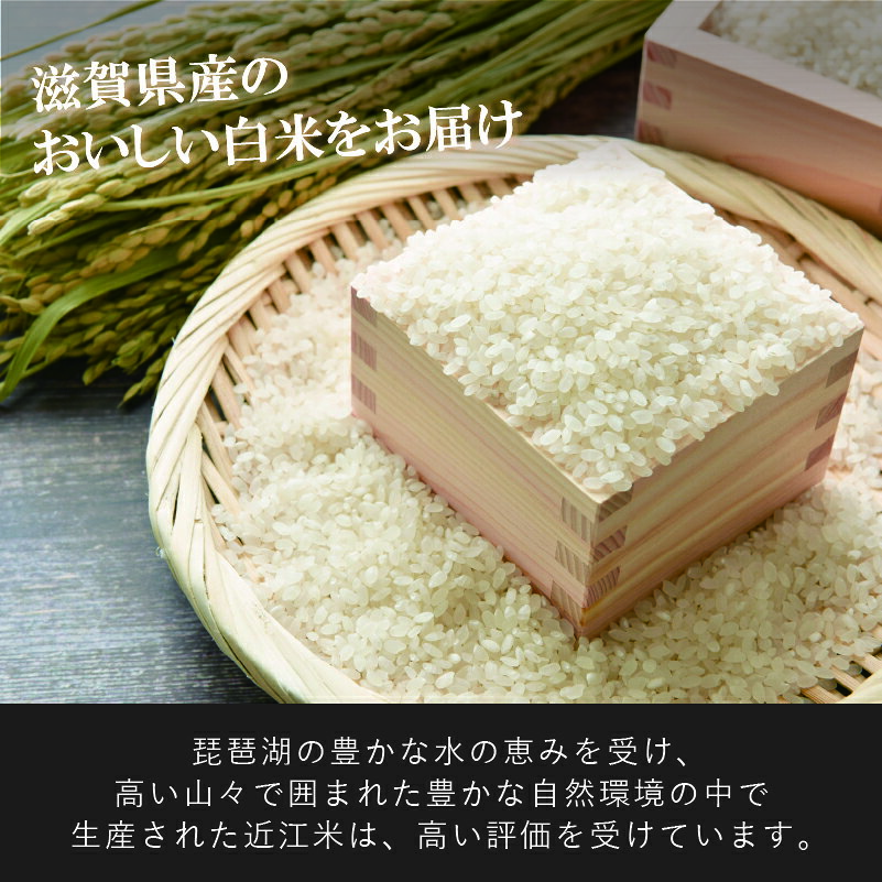 【ふるさと納税】 【先行受付】 新米 みずかがみ 白米 5kg 令和8年産 近江米 令和8年 白米 米 お米 精米 ご飯 先行予約 f254258-aisho-10000448 滋賀県愛荘町 サンプル画像2